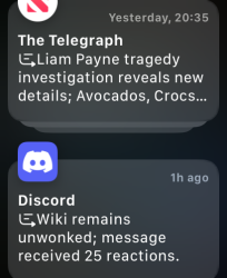 Apple Watch screenshot showing two AI-summarised notifications. One is a summary from Apple News, reading: "Liam Payne tragedy investigation reveals new details; Avocados, Crocs...". The other is a summary from Discord, reading "Wiki remains unwonked; message received 25 reactions."